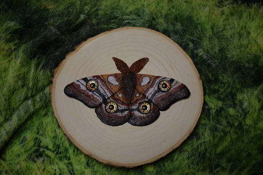 Moth wall decor