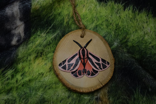 moth wall decor